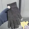 Luvas Quentes de Inverno para Estudantes, Estilo Coreano, Simples, Aveludadas e Espessadas, Luvas de Algodão à Prova de Frio com Cinco Dedos para Homens e Mulheres
