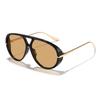 Gafas de Sol Clásicas Doble Puente con Montura Grande Estilo Vintage Rain, Estilo Motociclista, Esenciales para el Uso Diario y Protección Solar