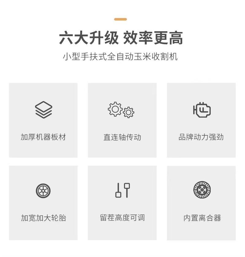 详情图02