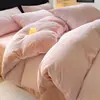 Novo Conjunto de Roupa de Cama de Lã de Leite Espessa de Inverno Conjunto de Quatro Peças Uso Doméstico Lençol de Cama de Fleece Coral com Veludo Extra Conjunto de Três Peças