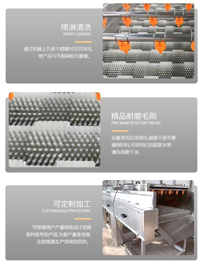 平行毛辊清洗机_05