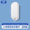 Luz de pared inteligente con inducción del cuerpo humano por radar, luz de pasillo, luz de entrada, baño, exterior, impermeable, iluminación LED de pared