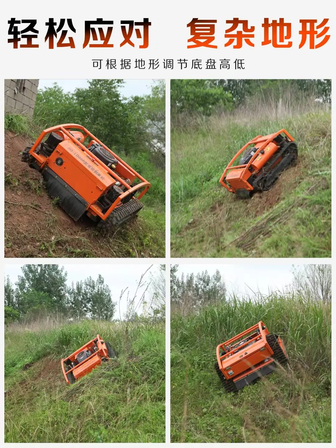 微信图片_202208121350172