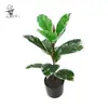 Árvore da Borracha Planta Verde Artificial Decoração de Sala de Estar de Alto Padrão Ornamentos de Chão Árvore Falsa Grande para Interior Planta Biônica