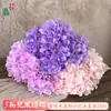 Simulação de Buquê de 5 Cabeças de Hortênsia Flores Artificiais Hortênsia Artificial Atacado Produtos Acabados para Decoração de Casamento e Paisagismo