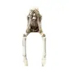 Nuevos Productos Transfronterizos, No Mires, No Escuches, No Hables, Soporte de Hueso, Decoración de Calavera, Adornos de Resina, Decoración Moderna Simple