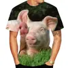 2026 Nova Camiseta Popular Divertida Animal Porco Estampa 3D Gola Redonda Camiseta Casual Masculina XXS-6X
