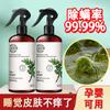 Spray para Eliminar Ácaros Cenizo Verde para Eliminar Ácaros Desinfección de Camas Esterilización de Ropa del Hogar Eliminación de Ácaros de Ropa de Cama Spray para Eliminar Ácaros Venta al por Mayor
