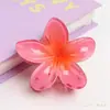 Presilha de Cabelo Flor Plumeria Popular Transfronteiriça, Acessório de Cabelo de Verão Colorido e Estiloso, Enfeite de Cabelo Versátil Tipo Pinça Tubarão Venda por Atacado