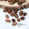 Muestra de Planta Astillas de Madera DIY Material de Flor Seca Marco de Fotos Hecho a Mano Roble Material para Bolsa de Exhibición Cáscara de Nuez Piña Decoración Fruta Seca