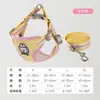 Set de Correa para Perro Transfronterizo con Colores Dopamina Contrastantes, Set de Arnés y Correa para Perros Pequeños y Medianos, Correa para Mascotas