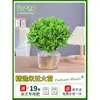 Planta en Maceta Flor de Milán, Planta de Interior con Flores y Capullos, Planta Verde Repelente de Mosquitos, Bonsái de Tocón Viejo, Planta de Floración Cuatro Estaciones, Fragante y Fácil de Cuidar