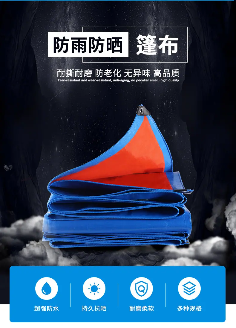 蓝桔_04.jpg