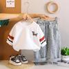 Conjunto de Sudadera de Primavera y Otoño para Niños 2025 Nuevo Estilo para Niños Ropa para Bebé Primavera y Otoño Conjunto de Dos Piezas de Jeans