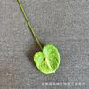Simulação Planta Verde Impressão 3D Antúrio Simulação de Casamento Flores Floricultura de Casamento Arranjo de Palco Adereços para Fotos Vestido Macio