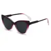 Óculos de Sol Retrô Novos em Formato de Gato 2026 Tendência Unisex Óculos de Sol para Influenciadores Óculos de Sol com Proteção Solar Fashion