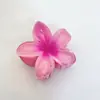 Grampo de Garra de Plumeria Europeu e Americano Grampo de Flor Lateral de Férias para Mulheres Penteado no Topo da Cabeça Grampo de Tubarão Grampo de Cabelo Transfronteiriço Venda por Atacado