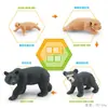 Juguete modelo de animal pequeño simulación ciclo de vida crecimiento rana tortuga pollo Montessori material didáctico preescolar venta al por mayor