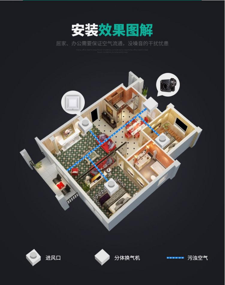 详情 (41).jpg