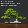 Adorno de Pino de Bienvenida para Simulación Estilo Chino Nuevo Entrada Tienda Sala de Estar Planta Verde Paisajismo Decoración de Escritorio Pino Ciprés Árbol Bonsái
