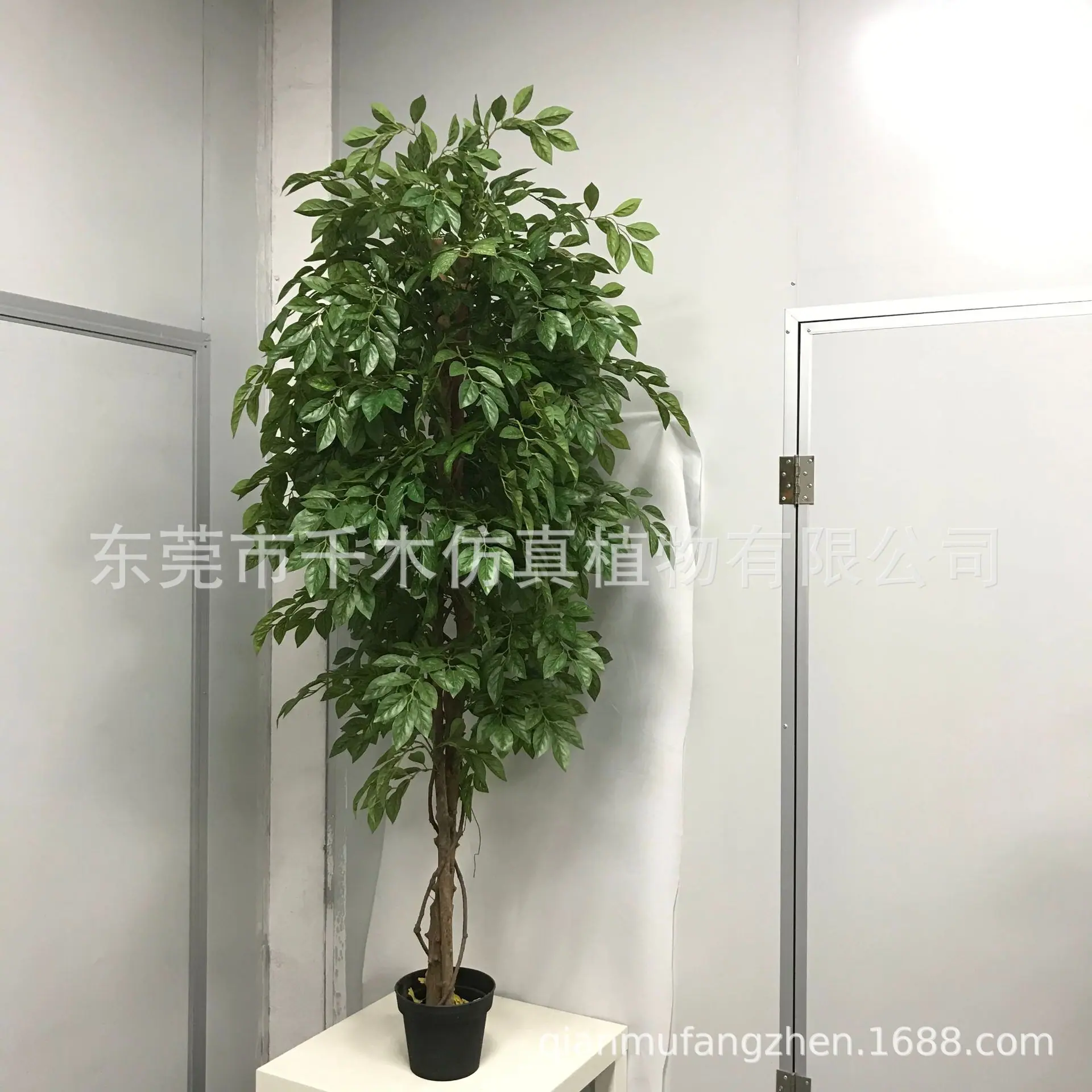 微信图片_202105280944537