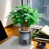 Árvore da Fortuna em Vaso para Interior para Atrair Riqueza, Sala de Estar, Mesa de Escritório Planta Verde, Fácil de Cuidar para Pessoas Preguiçosas em Todas as Estações