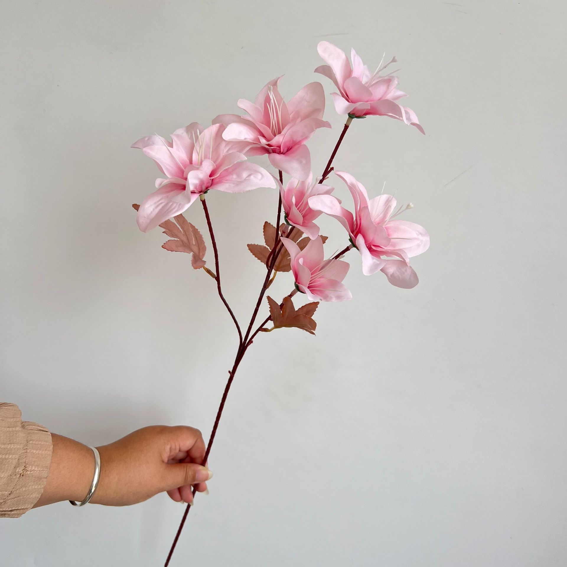 062450dc2e153646e555de5251b1e0