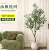 Planta de olivo en maceta para sala de estar interior, esquejes reales, planta grande en maceta, fácil de cuidar, adecuada para inauguración de casa y mudanza