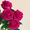 Tacto Simulador Humectante Rosa Seca Capullo de Rosa Grande Tallo Único Rosa Búlgara Flor Artificial Decoración