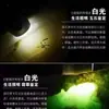 Linterna para Identificar Artefactos de Ámbar y Jade, Equipo de Iluminación Foco de Alto Brillo, Suministro Directo desde la Fábrica de Origen