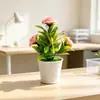 Suministro Directo Transfronterizo Tres Rosas con Libélula Mimbre Imitación Tejido Maceta Decoración de Escritorio para el Hogar Flor Artificial de Plástico Bonsái Pequeño