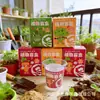 Caixa Surpresa de Plantas para Presente Infantil, Plantio DIY de Pequenas Plantas em Vasos para Alunos do Ensino Fundamental, Vasos Criativos de Mini Plantas Verdes para Mesa