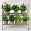 Ramo de plantas verdes amazónicas en maceta para el hogar, habitación, porche suave, adornos transfronterizos, pequeñas macetas, fábrica al por mayor