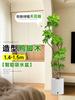 Planta Verde Grande para Sala de Estar con Forma de Pata de Pato, Planta en Maceta de Interior de Fácil Mantenimiento, Planta Verde Perenne de Pie para Oficina para Todas las Estaciones
