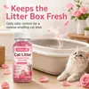 KineShineX Gránulos Desodorantes con Aroma a Rosa para Gatos de Casa, Desodoriza y Deja una Suave Fragancia Floral