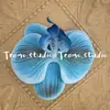 Cabeça de Flor de Orquídea Phalaenopsis Artificial, Textura de Película Impressa em 3D, Buquê Exquisito para Decoração de Casamento e Lembrança