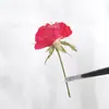 Rosa Lado Prensado Flor de Rosa Flor Prensada Planta de Enseñanza para Niños Pequeños Material de Espécimen Pegamento Flor Seca Funda para Teléfono Móvil DIY