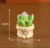 Mini Cactus Lindo Miniatura Simulación Suculenta Linda Planta en Maceta Modelo Juguete Decoración de Escritorio de Oficina Adorno Creativo