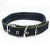 Collar para mascota cincha de PP forrado collar de polipropileno para perro collar de espuma para gato cosido collar para perro pequeño al por mayor