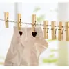 Pregadores de Bambu, Pregadores de Roupa, Pregadores Domésticos de Madeira, Pregadores de Colcha, Pregadores Pequenos, Pregadores de Roupa à Prova de Vento, Pregadores Domésticos Universais