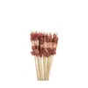 Brochetas populares para snacks en línea, brochetas comerciales, brochetas fritas, productos semielaborados, brochetas picantes revolucionarias, brochetas para olla caliente, brochetas de res picantes