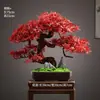 Novo Bonsai Artificial Estilo Chinês Inspirado em Zen Pinheiro Acolhedor e Pinheiro Arhat para Decoração de Escritório, Sala de Estar e Hall de Entrada