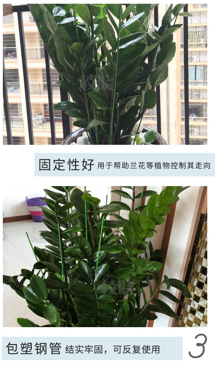 兰花支架_04.jpg