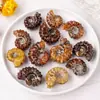Cristal Natural de Madagascar Fóssil de Caracol com Chifres de Carneiro Mineral Conchilha Popular para Ensino de Ciências Decoração de Casa