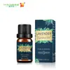 Venta al por mayor transfronteriza de difusores de aceites esenciales, aceite esencial de lavanda, piedras para difusor, aceites esenciales individuales, líquido para aromaterapia DIY