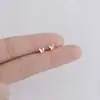 Brincos de Prata Esterlina 925 Novo Estilo Primavera Verão Pequenos Celebridade da Internet Douyin Venda Quente Brinco Simples Moderno Estudante Feminina Noite
