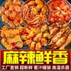 Polvo Picante Cabeça Grande Pronto para Comer Frutos do Mar Pequenos Mala Polvo Fresco em Conserva Abalone Ostras Pratos para Comer com Arroz