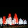 Venta al por mayor de fábrica Lámpara de árbol de flor de cerezo de hierro LED Altura Multicolor Opcional Impermeable para exteriores Ingeniería de parque Paisaje Luminoso