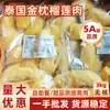 Almohada Dorada Tailandesa Pulpa de Durian Congelada 3 kg Venta al por Mayor Fruta Fresca Durian Maduro en Árbol Sin Semillas Pulpa de Durian para Hornear Uso Comercial
