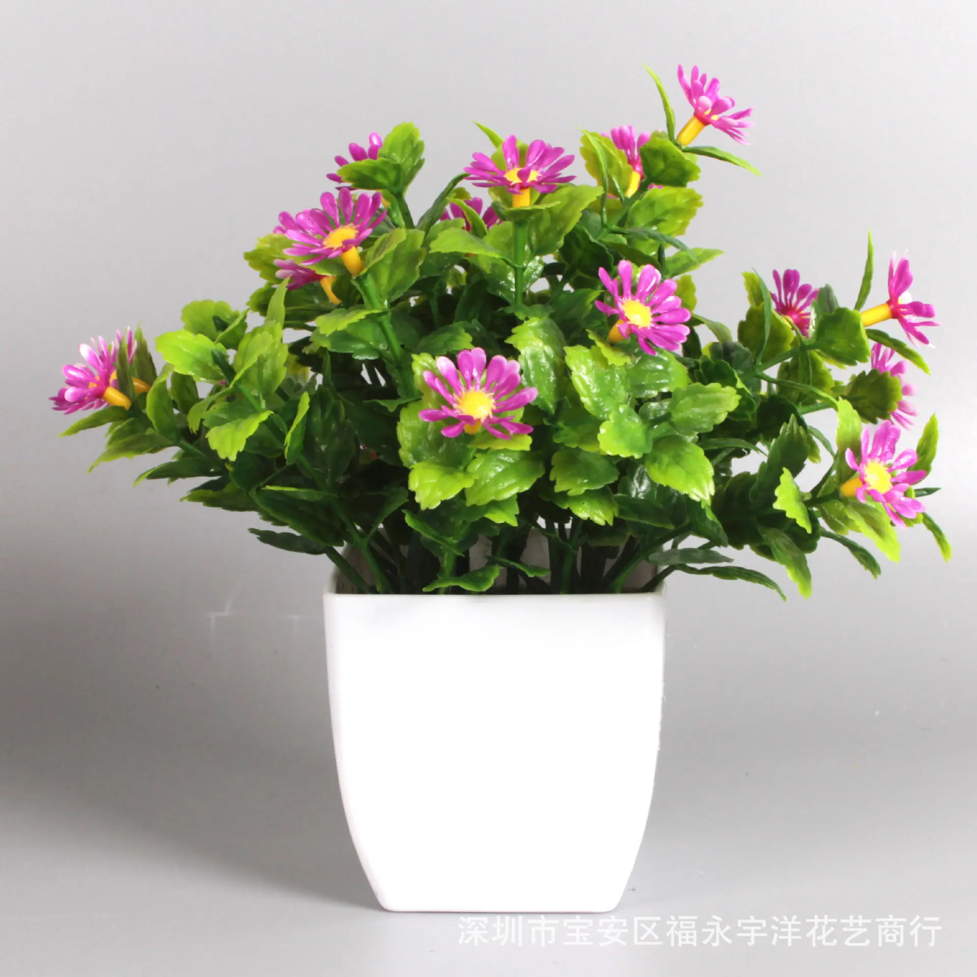 IMG_0843_副本.jpg